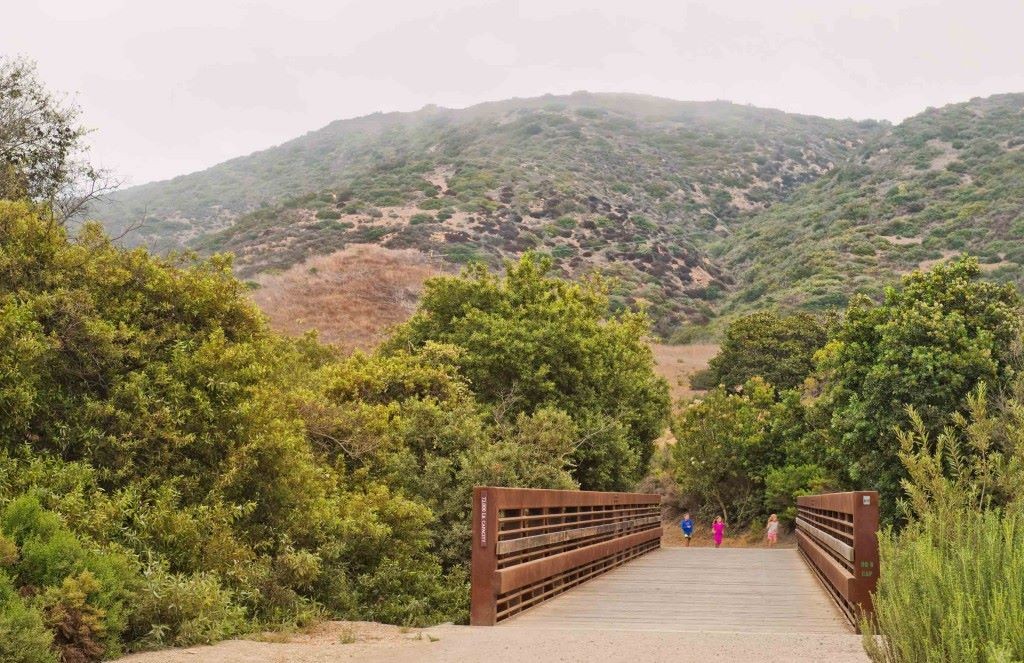 11791908_10155800976090058_5230429676047407268_o