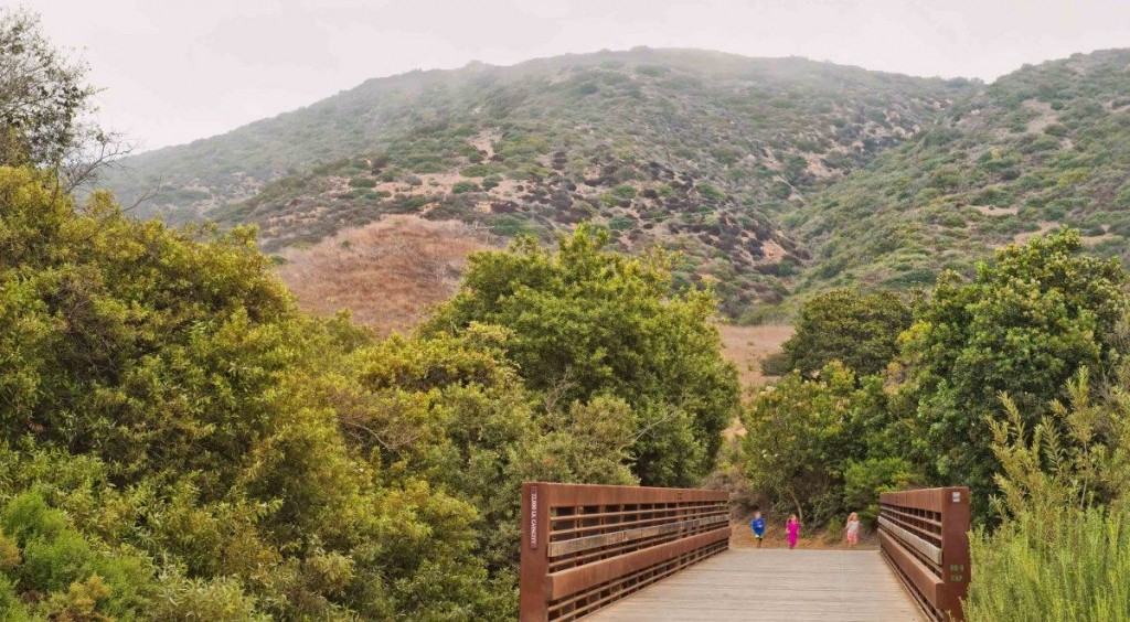 12471847_10156382645640058_8361606554415759482_o