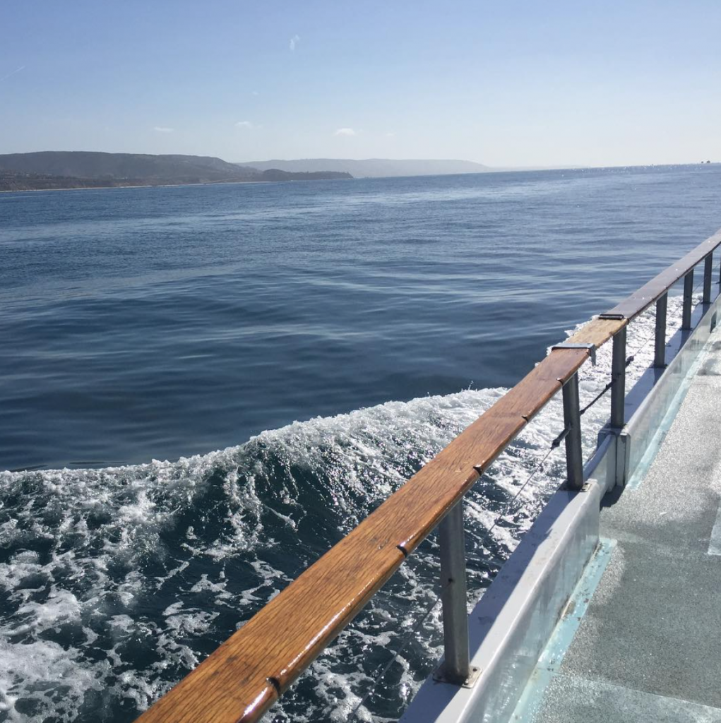 Screen Shot 2016-03-10 at 12.54.42 PM